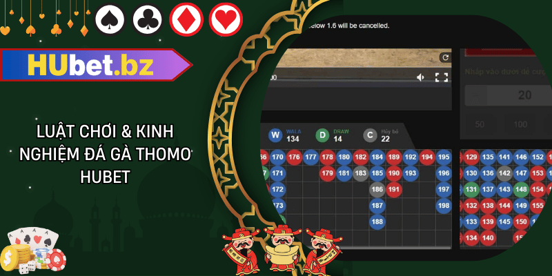 Luật chơi & kinh nghiệm đá gà thomo hubet